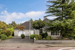 Foto Wespendief 4 Tollebeek 02.jpg